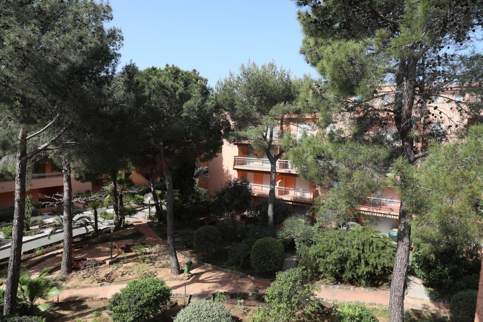 L'Amiraute 150M De La Plage Bormes-les-Mimosas Εξωτερικό φωτογραφία